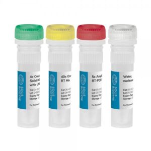 One-step RT-PCR