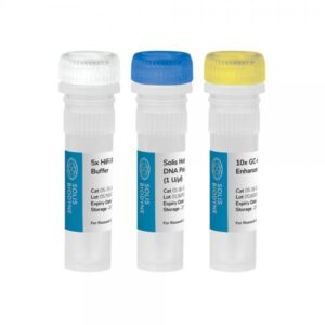 High Fidelity PCR