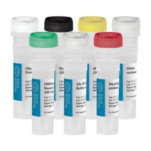 cDNA synthesis