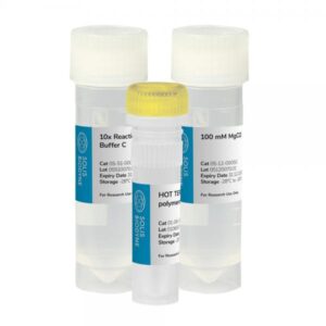 HOT TERMIPol® DNA Polymerase