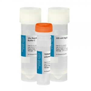 TERMIPol® DNA Polymerase